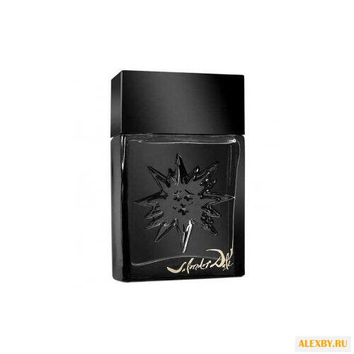 Salvador Dali Black Sun