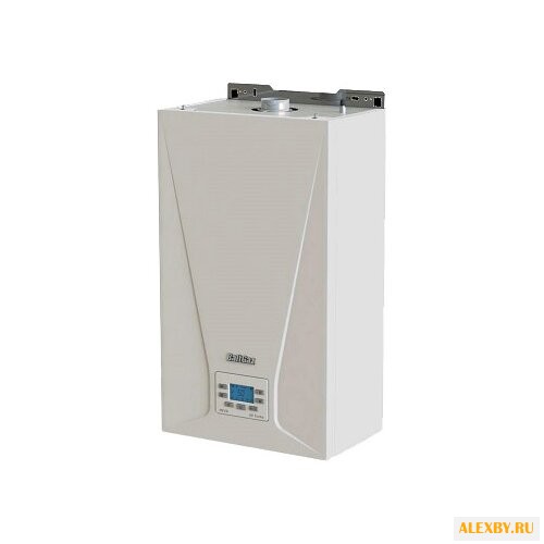 Газовый котел BaltGaz NEVA 11