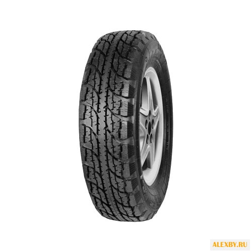 Автомобильная шина Алтайшина