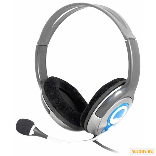 Компьютерная гарнитура Ritmix