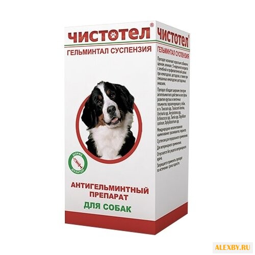 ЧИСТОТЕЛ Глистогон плюс