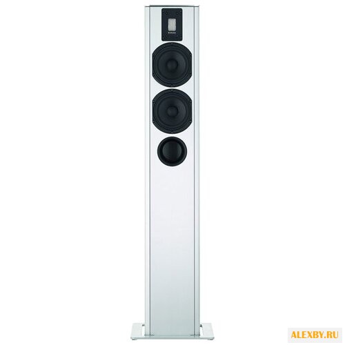 Акустическая система Piega