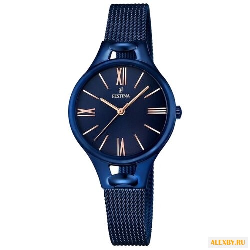 Наручные часы FESTINA F16953 2