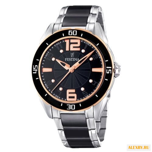 Наручные часы FESTINA F16396 2