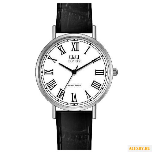 Наручные часы Q&Q Q979 J813