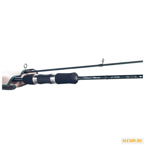 Удилище спиннинговое Black Hole