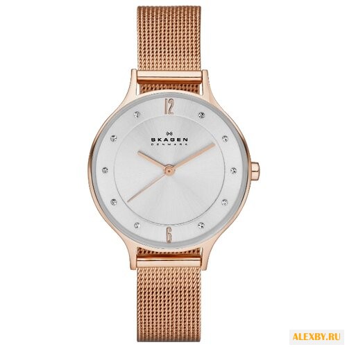 Наручные часы SKAGEN SKW2151