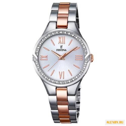 Наручные часы FESTINA F16917 1