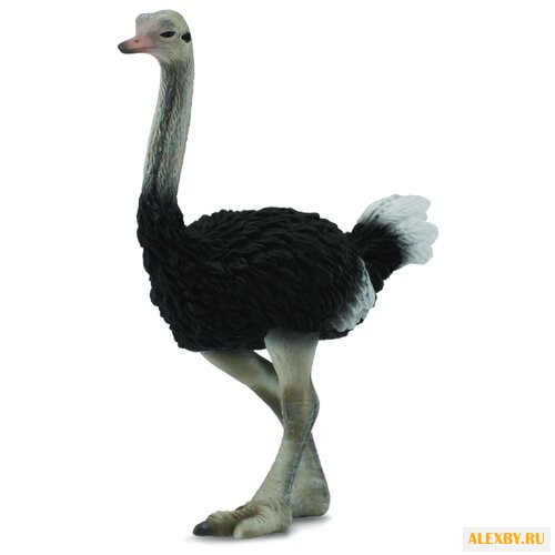 Фигурка Collecta Страус 88459