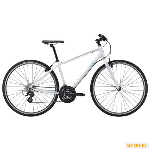 Велосипед Giant Alight 2 DD 2015