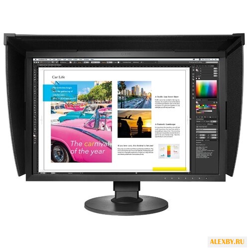 Монитор Eizo ColorEdge CG2420