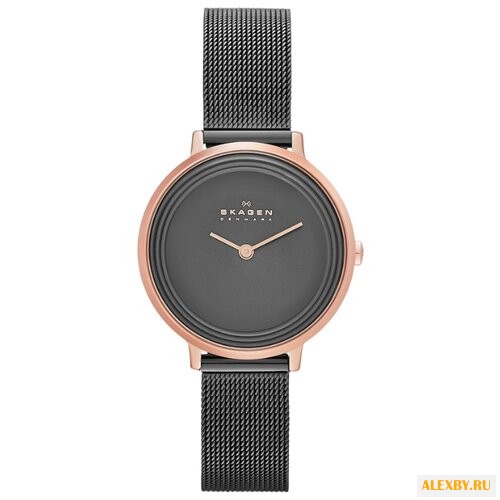 Наручные часы SKAGEN SKW2277