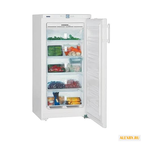 Морозильник Liebherr GNP 1956