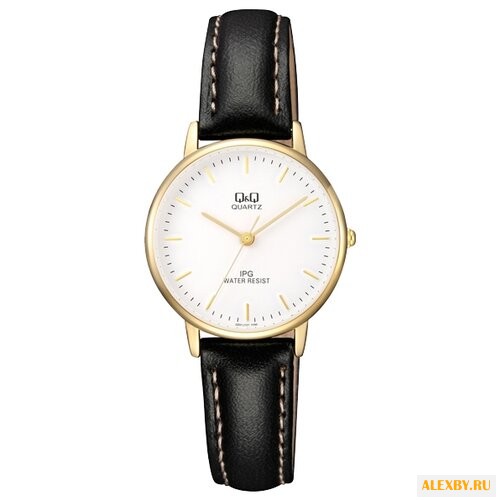 Наручные часы Q&Q QZ01 J101