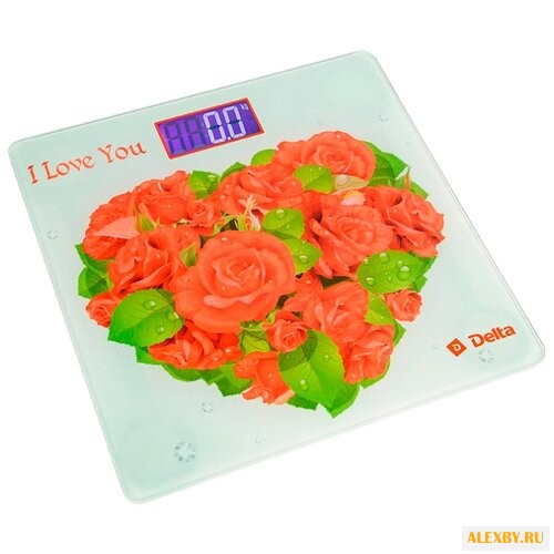 Весы DELTA D-9217