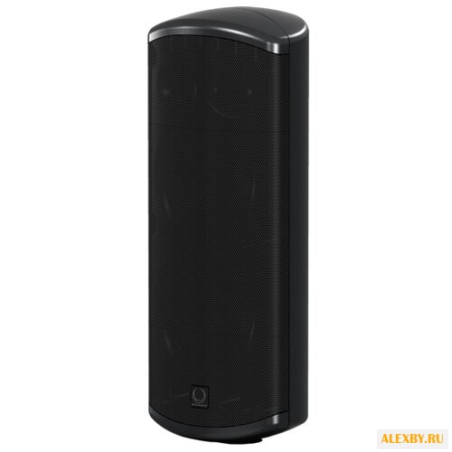 Акустическая система Turbosound