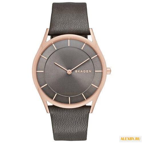Наручные часы SKAGEN SKW2346