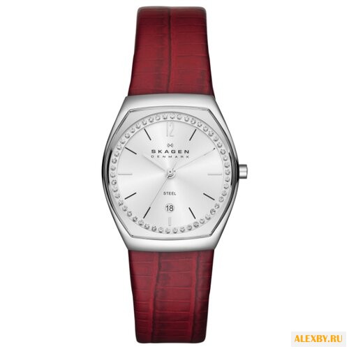 Наручные часы SKAGEN SKW2103