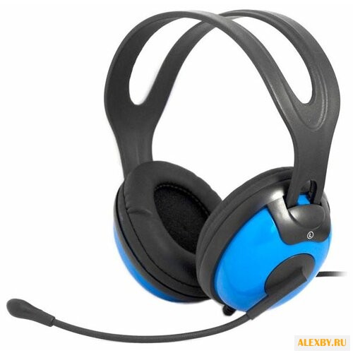 Компьютерная гарнитура Ritmix