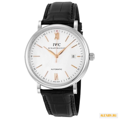 Наручные часы IWC IW356517
