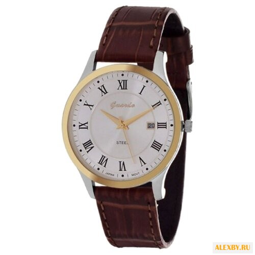 Наручные часы Guardo S0990.1.6