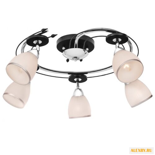 Silver Light Austerity 223.59.5