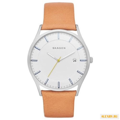 Наручные часы SKAGEN SKW6282