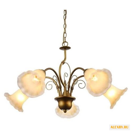 Arte Lamp A9361LM-5BR