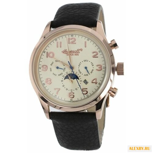 Наручные часы Ingersoll IN1205RCR