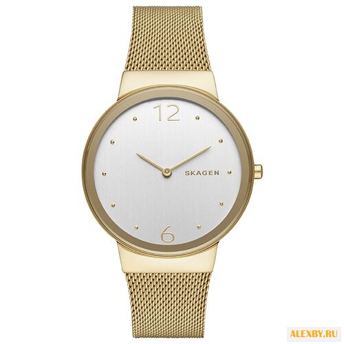 Наручные часы SKAGEN SKW2519