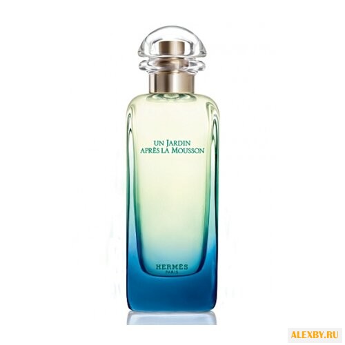 Hermes Un Jardin Apres la Mousson