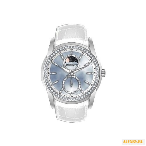 Наручные часы Steinmeyer S