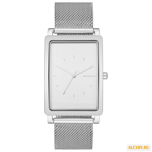 Наручные часы SKAGEN SKW6288