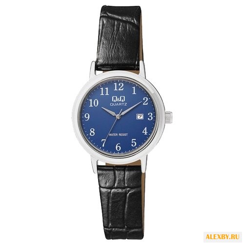 Наручные часы Q&Q BL63-315