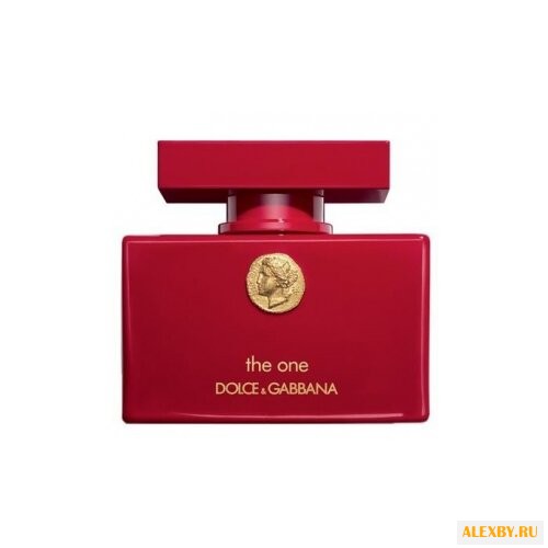 DOLCE & GABBANA The One for