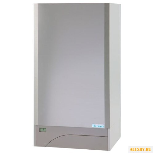 Газовый котел Thermona THERM 28