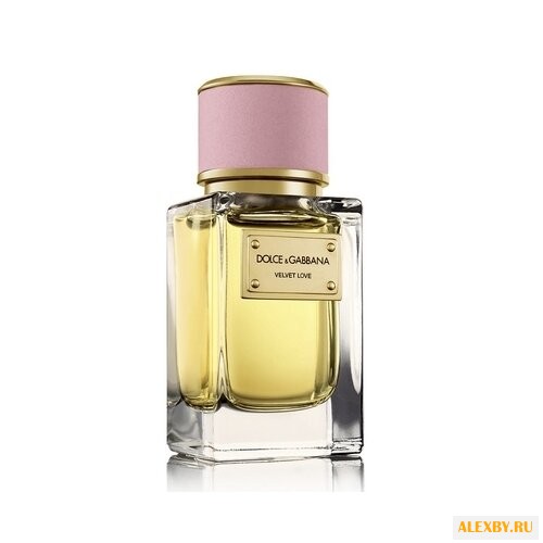 DOLCE & GABBANA Velvet Love