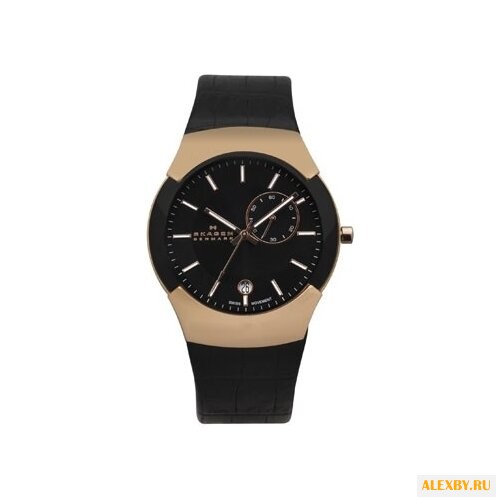 Наручные часы SKAGEN 983XLRLDB