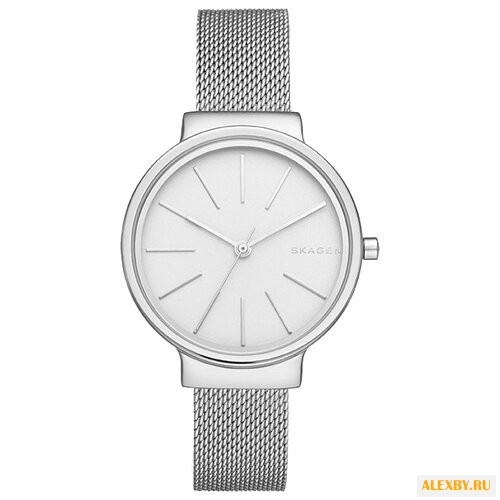 Наручные часы SKAGEN SKW2478