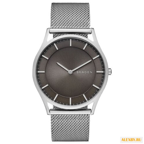 Наручные часы SKAGEN SKW6239