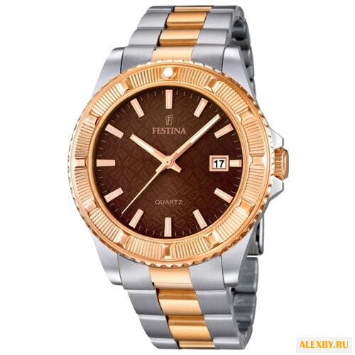 Наручные часы FESTINA F16685 4