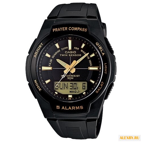Наручные часы CASIO CPW-500H-1A