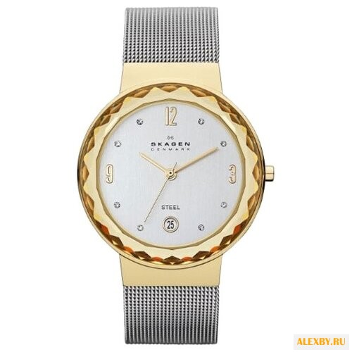 Наручные часы SKAGEN SKW2002