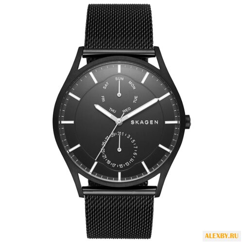 Наручные часы SKAGEN SKW6318