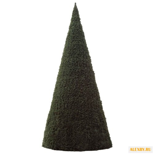 Царь елка Ель Монблан