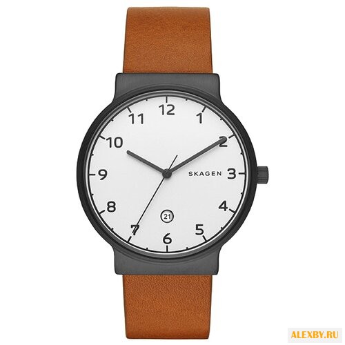 Наручные часы SKAGEN SKW6297
