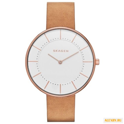 Наручные часы SKAGEN SKW2558