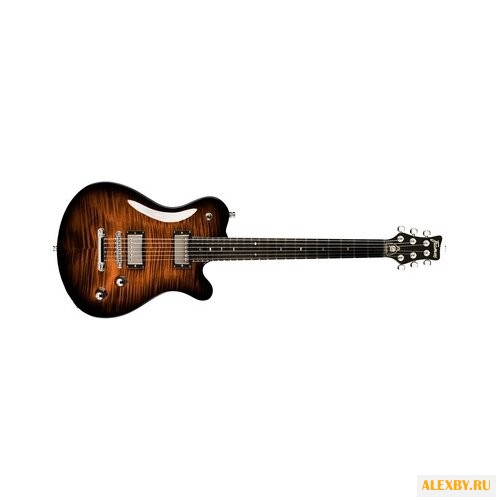 Электрогитара Framus Panthera