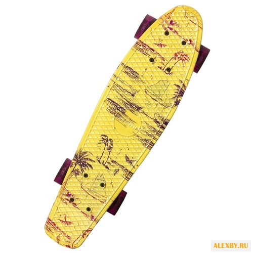 Скейтборд ATEMI APB-3.16