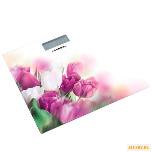 Весы AURORA AU 4310